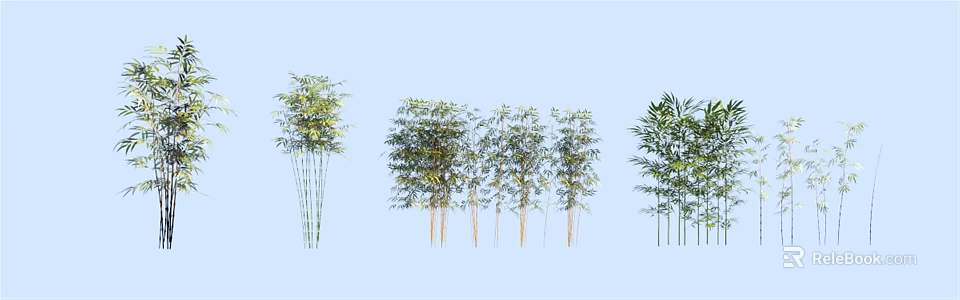 Various Bamboo Species With Green Leaves And Tall Stems For Garden Landscaping 3d model 