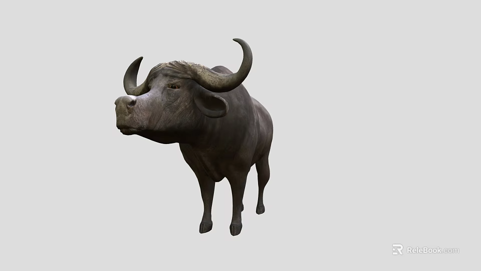 Gray Water Buffalo With Large Curved Horns Standing On Plain Background 3d model