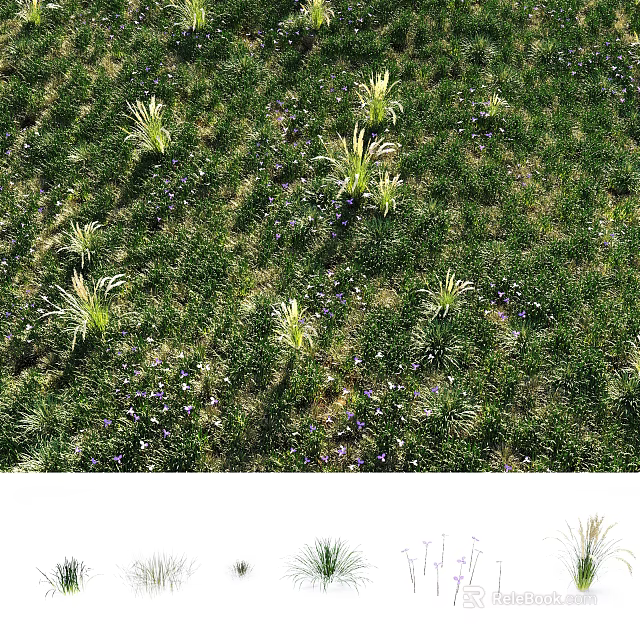 Lush Green Grassland With Diverse Blooming Flowers And Natural Plant Growth 3d model 