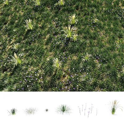 Lush Green Grassland With Diverse Blooming Flowers And Natural Plant Growth 3d model
