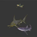 Three Sharks in Different Swimming Poses with Realistic Features and Design 3d model