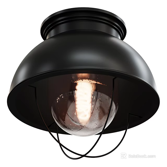 Black Industrial Style Flush Mount Ceiling Light With Transparent Illuminated Bulb 3d model 
