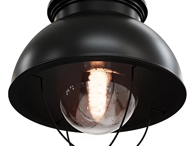 Black Industrial Style Flush Mount Ceiling Light With Transparent Illuminated Bulb 3d model