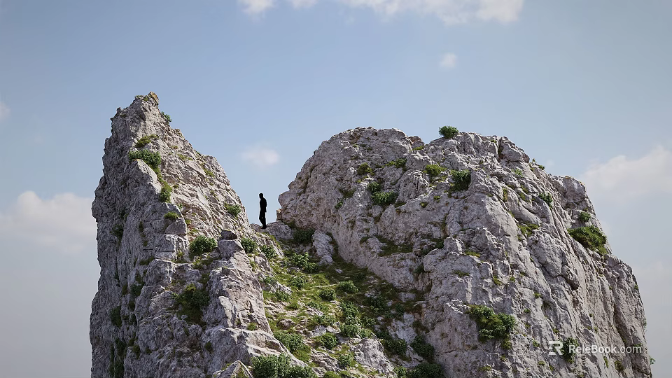 Garden Landscape Featuring Rocky Outcrops Scattered Vegetation and Person Standing Against Blue Sky 3d model 