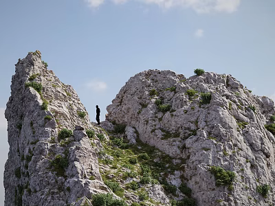 Garden Landscape Featuring Rocky Outcrops Scattered Vegetation and Person Standing Against Blue Sky 3d model