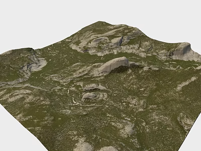 Natural Garden Landscape With Lush Green Grassland And Rocky Hill Terrain 3d model