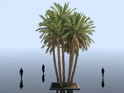Tall Palm Trees With Lush Green Foliage And People Silhouettes Under Blue Sky 3d model