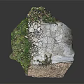 Natural Cracked Gray Stone Surface With Green Grass Small Plants Soil And Gravel