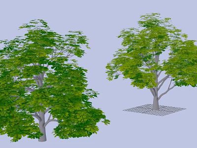 Two Arbor Trees With Lush Green Foliage Trunk And Grid Base 3D Rendering 3d model