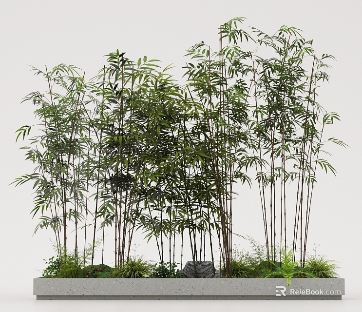 Tall Bamboo Plants With Lush Green Leaves In Natural Cluster Growth 3d model 