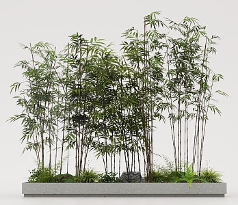 Landscape Bamboo Gardening Bamboo 3d model