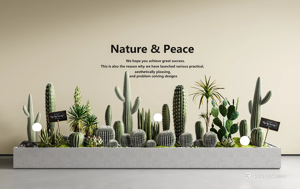 Natural Peaceful Potted Bonsai Plants with Cacti and Succulents for Modern Living Room Decor 3d model 