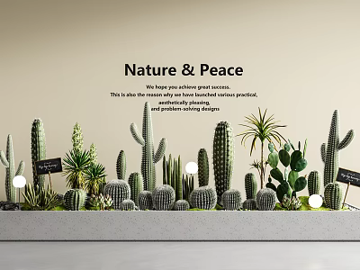 Natural Peaceful Potted Bonsai Plants with Cacti and Succulents for Modern Living Room Decor 3d model