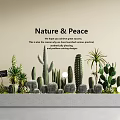 Natural Peaceful Potted Bonsai Plants with Cacti and Succulents for Modern Living Room Decor