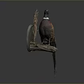 Taxidermy Pheasant Mounted on Wall with Circular Base Against Grey Background and Vibrant Feathers