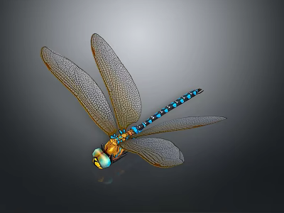 3D Dragonfly Model With Transparent Veined Wings Blue Gold Striped Shiny Body 3d model