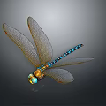 3D Dragonfly Model With Transparent Veined Wings Blue Gold Striped Shiny Body