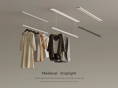 Clothes Hangers In Medieval Style With Droplight Hanging From Ceiling And Clothes 3d model