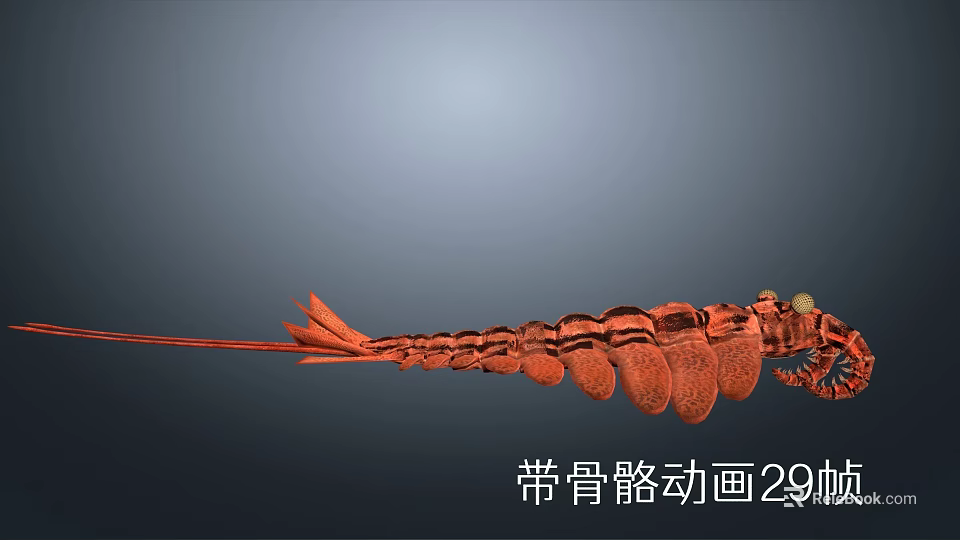 Detailed 3D Model With Skeleton Animation And 29 Frames Motion Sequence 3d model 