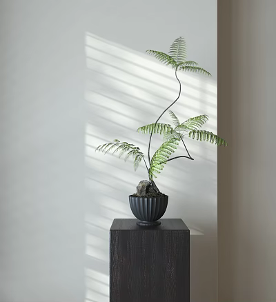 Elegant Fern Bonsai Plant In Dark Pot On Wooden Stand With Sunlight Shadows 3d model