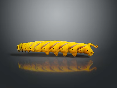 Vibrant Yellow Striped Caterpillar With Segmented Body And Shiny Reflection 3d model