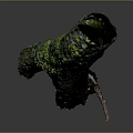 Lush Green Moss Plant Growing On Weathered Wooden Branch With Dark Background