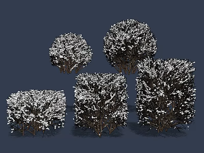 Five Snow Covered Bushes in Various Shapes Against Dark Background 3d model