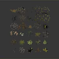 Diverse Collection of Natural Plants Featuring Grasses Shrubs and Foliage