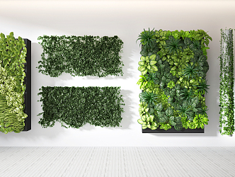 Modern Plant Wall Plant Wall Vine Combination 3d model