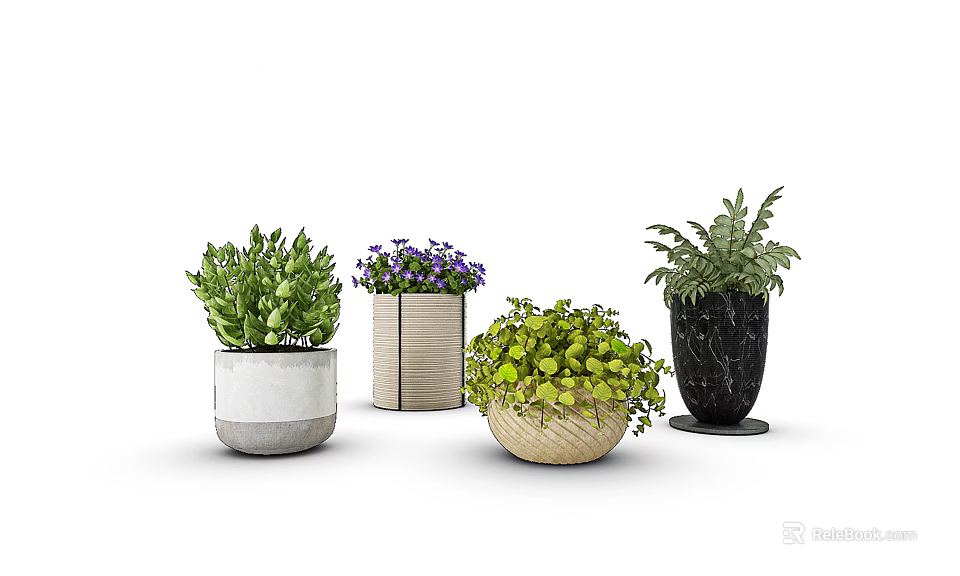 Indoor Potted Bonsai Plants With Different Pot Styles And Lush Greenery 3d model 