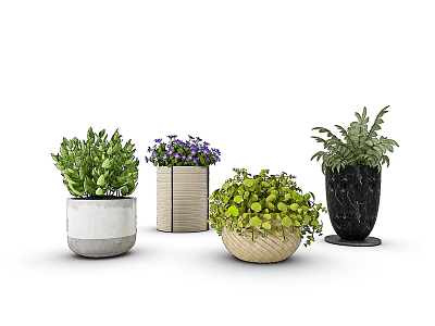 Indoor Potted Bonsai Plants With Different Pot Styles And Lush Greenery 3d model