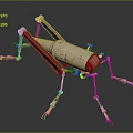 Mechanical Grasshopper Model With Metallic Legs Red Beige Color And Joint Parts
