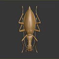 Detailed Golden Beetle Sculpture With Shiny Metallic Finish On Dark Background