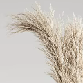 Wheat Ears Dried Branched Vase Flower Art 3d model