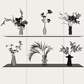 Decorative Vases with Flowers and Green Leaves on White Shelves Various Shapes and Colors