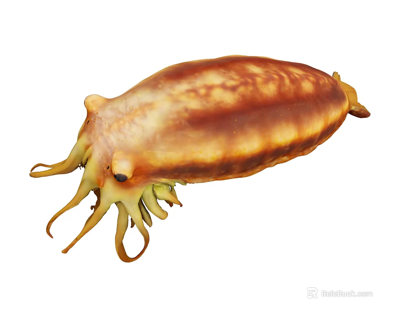 Brown And Yellow Striped Cuttlefish With Elongated Body And Tentacles 3d model 