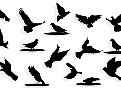 Bird Silhouettes Collection With Various Flying And Perching Poses On White Background 3d model