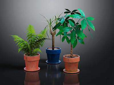Indoor Potted Fern Palm And Green Leaf Plants In Terracotta And Blue Ceramic Pots 3d model