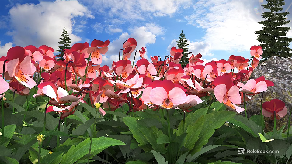 Red and Pink Pansies with Green Leaves Under Blue Sky and Pine Trees 3d model 
