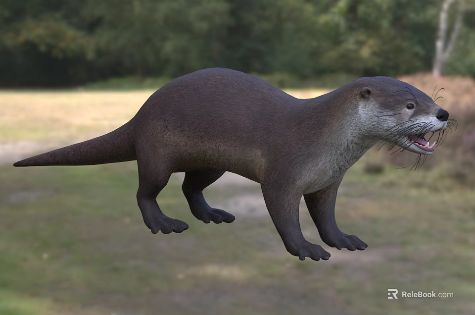 Playful Otter With Thick Brown Fur And Long Tail In Forest Riverbank Habitat 3d model 