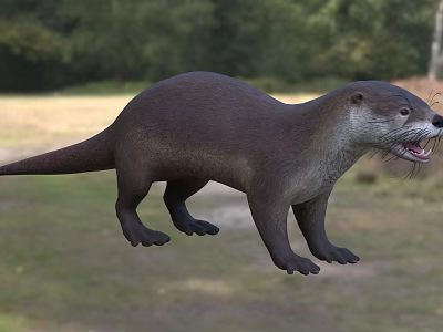 Playful Otter With Thick Brown Fur And Long Tail In Forest Riverbank Habitat 3d model