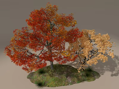Tree Planter With Colorful Autumn Trees Red Orange Yellow Leaves And Green Grass 3d model
