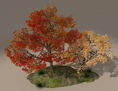 red maple landscape tree 3d model