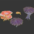 Colorful Pink and Purple Umbrella Shaped Plants with Feather Like Petals Against Black Background