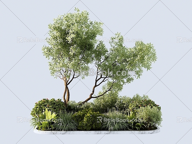 Modern shrubs 3d model