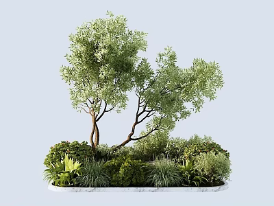 Shrubs Surrounded By Green Plants And Two Trunk Tree On White Circular Base 3d model