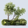 Modern shrubs 3d model