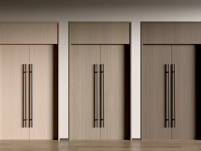 Sleek Interior Wooden Doors With Metal Handles In Light Medium Dark Tones 3d model
