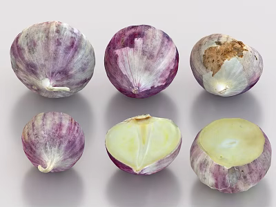Fresh Purple Skinned Garlic Bulbs Whole and Halved Close Up 3d model