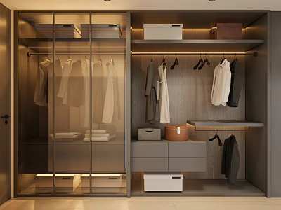 Modern Wardrobe Interior Design With Glass Doors Hanging Rods Drawers And Storage Boxes 3d model